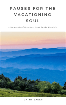 pausesmtncoverwebsizerevised